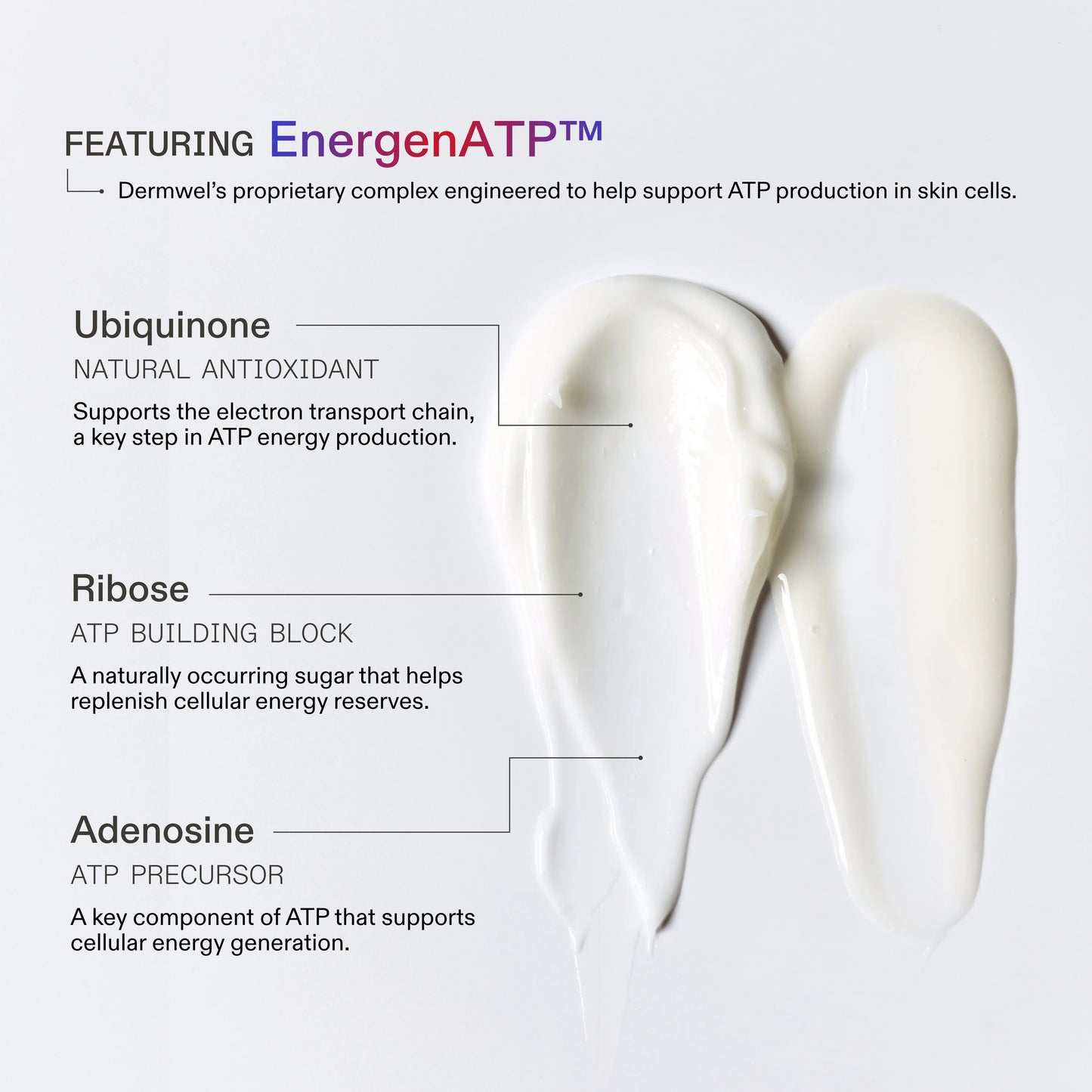 Dermaboost Moisture Complex